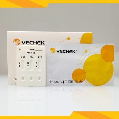 Van het Antilichamencombo van ASFV P30/P54/P72 Snelle de Testcassette (Serum/Plasma)