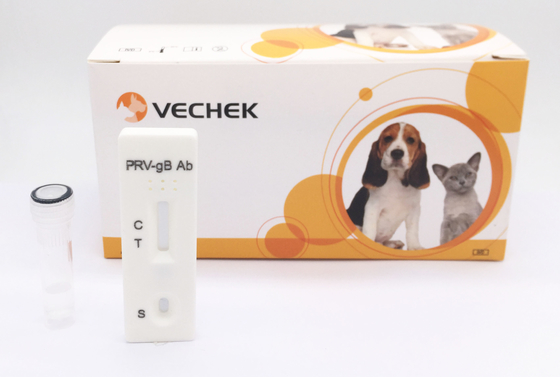 Het varkensantilichaam van Kit Pseudorabies GB van de Huistest met 24 van de Plankenmaanden Tijd